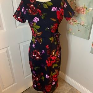 Worn once Enfocus Dress Size 4, Navy Base Color